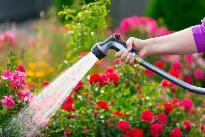 Andanur Ceramics - Garden Hoses